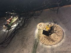 -鲤·鮨KOISUSHI