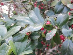 -浙江大学(舟山校区)