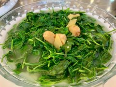 -荔城生鲜盛宴(番禺旗舰店)