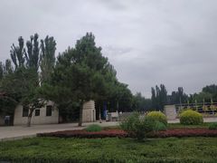 -阿尔丁植物园
