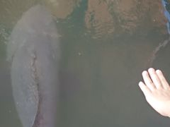 -蓝湾碧波·老字号·疍家非遗海上餐厅
