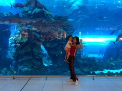 -迪拜水族馆及水下动物园