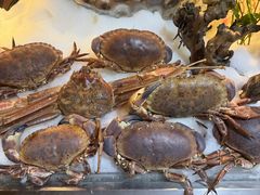 -亚马逊蒸汽活海鲜自助(LCM置汇旭辉广场店)