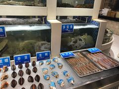 水产区-新洪记·丽久饭店(铁西店)
