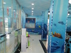 -小海豚·老字号海鲜餐厅(三亚湾店)