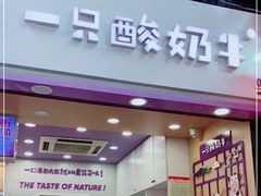 门面-一只酸奶牛(八一路店)