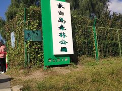 -长白岛森林公园