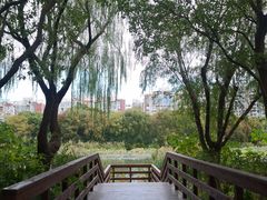 -新江湾城公园