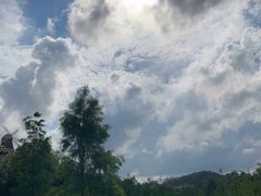 -东莞植物园
