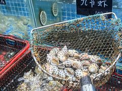 -双月饭店·20年老字号(新村店)