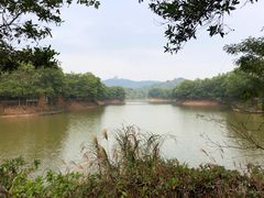 -红花湖景区