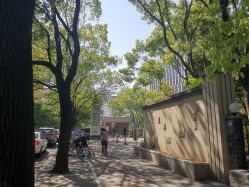 -上海交通大学医学院附属上海儿童医学中心(陆家嘴总院区)