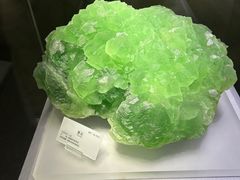 -湖南省地质博物馆