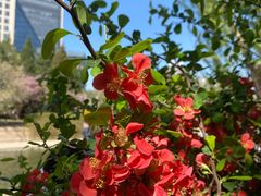 -元大都城垣遗址公园