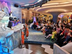 -帝企鹅自助餐厅•儿童岛•真企鹅(长隆企鹅酒店)