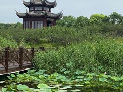 -上海海湾国家森林公园