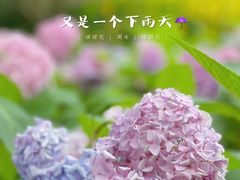 -徐家汇公园