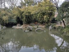 -汇龙潭