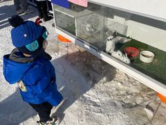 -绿野森林乐园冰雪季
