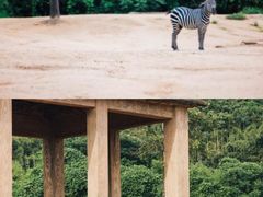 -杭州野生动物世界