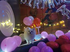 -佰迪乐KTV(秀灵店)