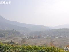 -塔川景区