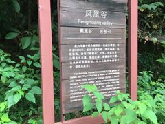 -浙西大峡谷