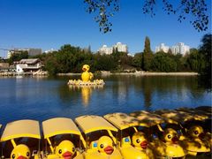 紫竹院公园-紫竹院公园冰场
