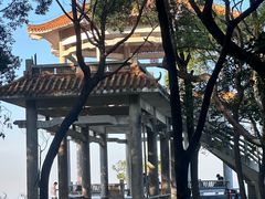 -广州市帽峰山景区