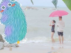 -大浪湾