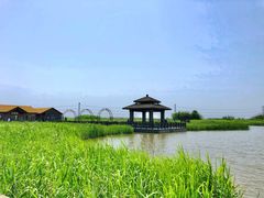 -宁波杭州湾国家湿地公园