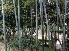 -故乡缘·香格里拉山庄(冷竹路店)