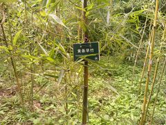 -紫竹院公园冰场