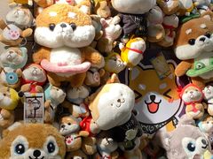 -逗柴咖啡屋·狗咖猫咖宠物桌游