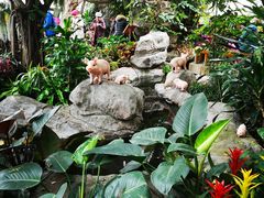 -北京植物园-展览温室