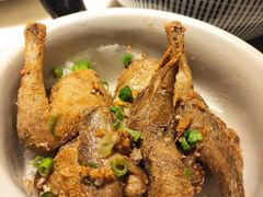 -岭南真味·匠心粤菜(K11店)