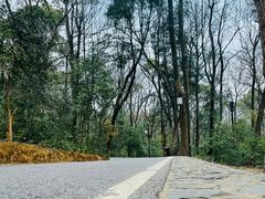 -岳麓山风景名胜区