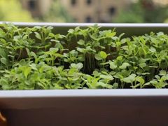 -食肆&Fourteen(武林夜市店)