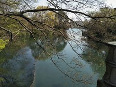 -西湖外事游船(花港观鱼码头)