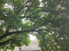 -张学良旧居陈列馆