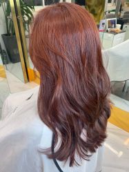 -潘多拉Hairsalon