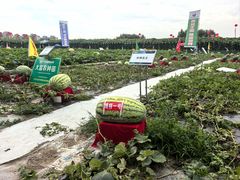 -长春农业博览园