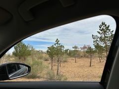 -亿利库布其七星湖沙漠生态旅游区