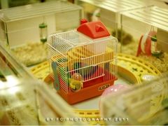 -龙猫仔乐园(惠福东路店)