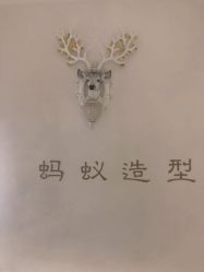 -蚂蚁造型俱乐部