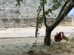 -春风习习