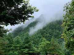 -苍山感通索道