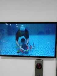 -纯一宝贝儿童游泳中心(生态大街店)