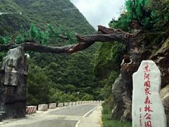 -黑河国家森林公园