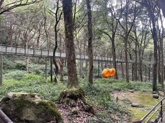 -富春桃源风景区